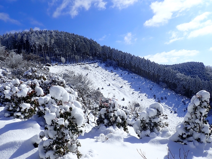 愛宕山_積雪　No80