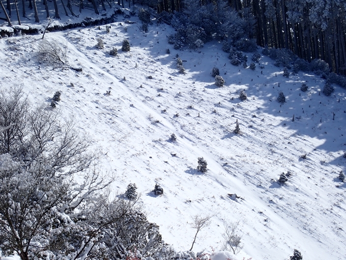 愛宕山_積雪　No81