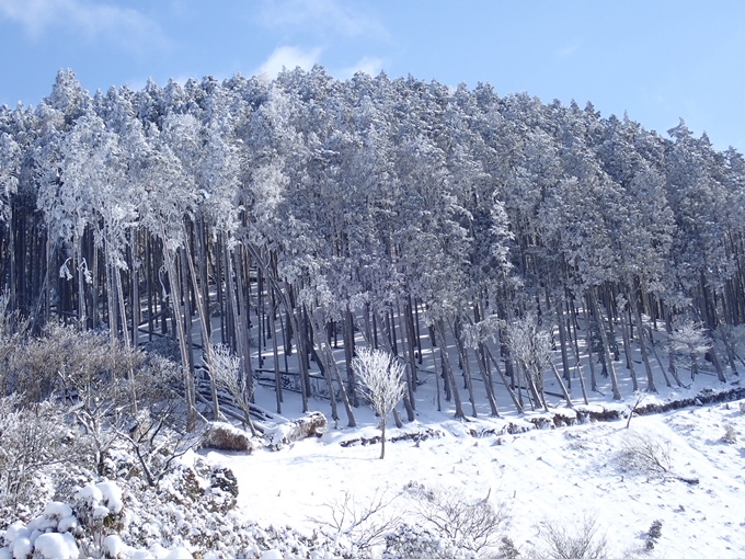 愛宕山_積雪　No82