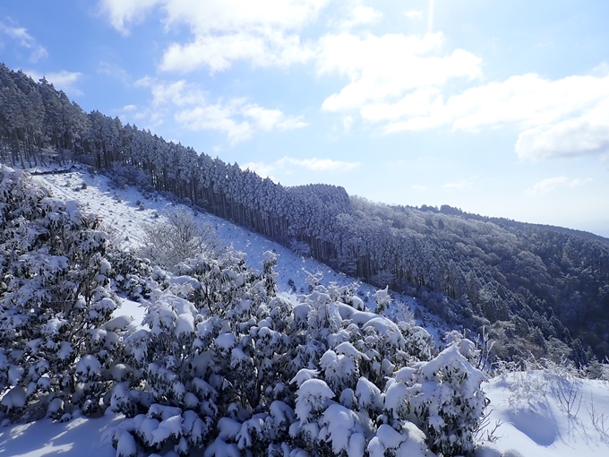 愛宕山_積雪　No84