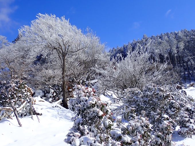 愛宕山_積雪　No85