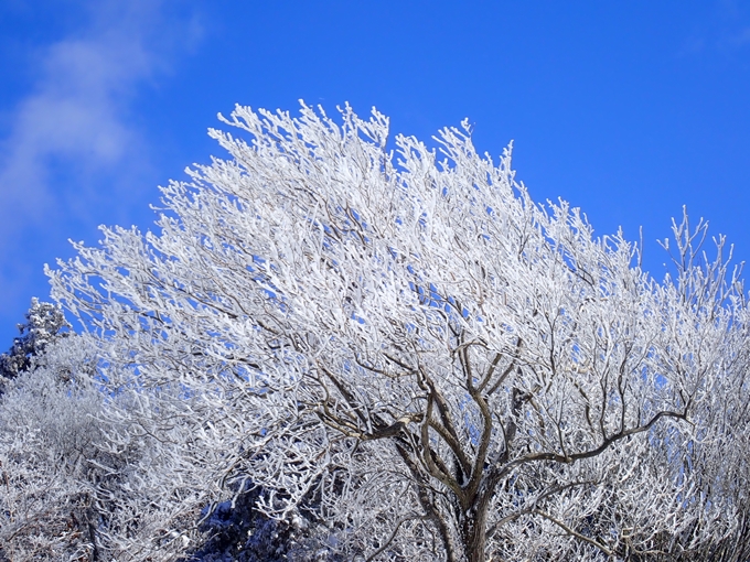 愛宕山_積雪　No86