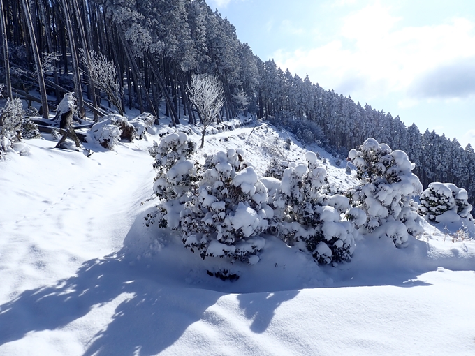 愛宕山_積雪　No91