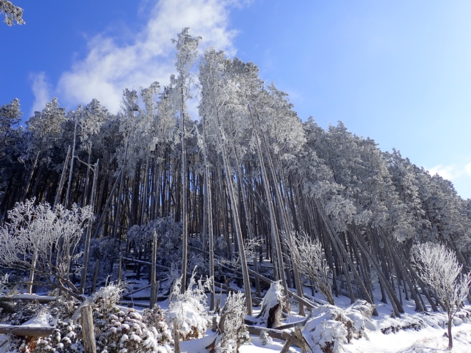 愛宕山_積雪　No92