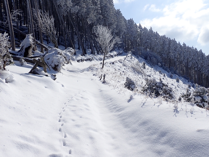 愛宕山_積雪　No94