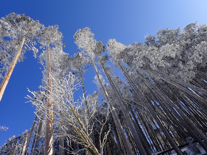 愛宕山_積雪　No101