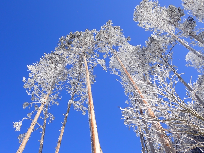 愛宕山_積雪　No103