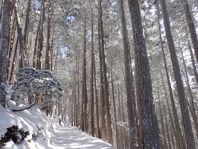 愛宕山_積雪　No106