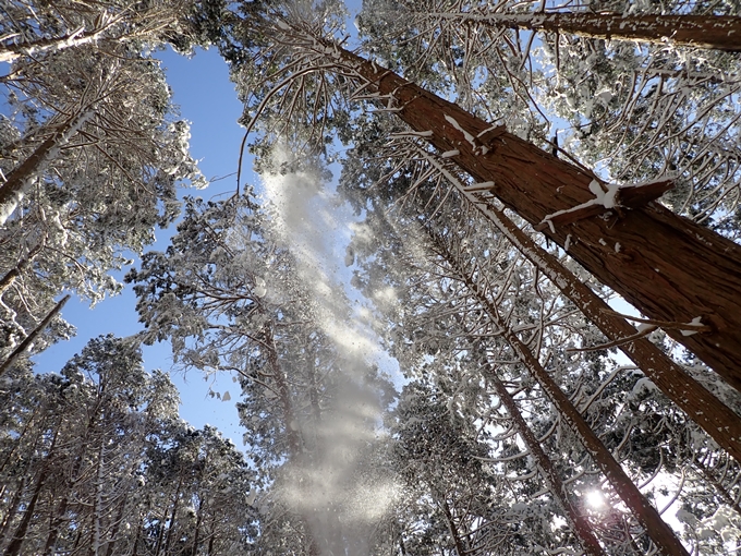 愛宕山_積雪　No108