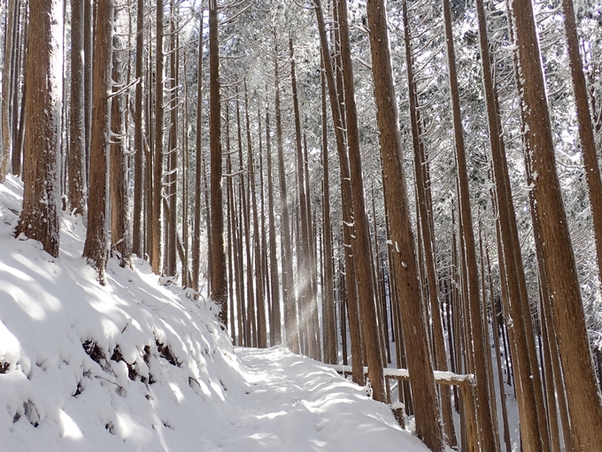 愛宕山_積雪　No109