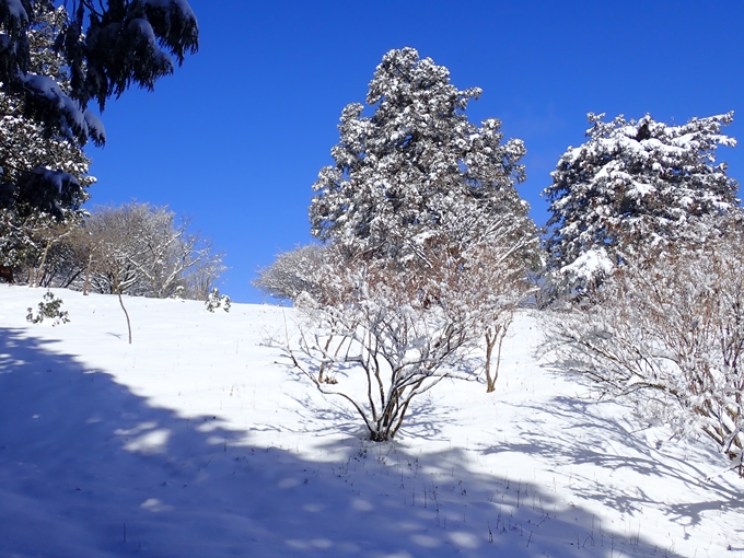 愛宕山_積雪　No114