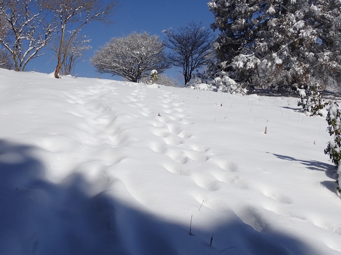 愛宕山_積雪　No115