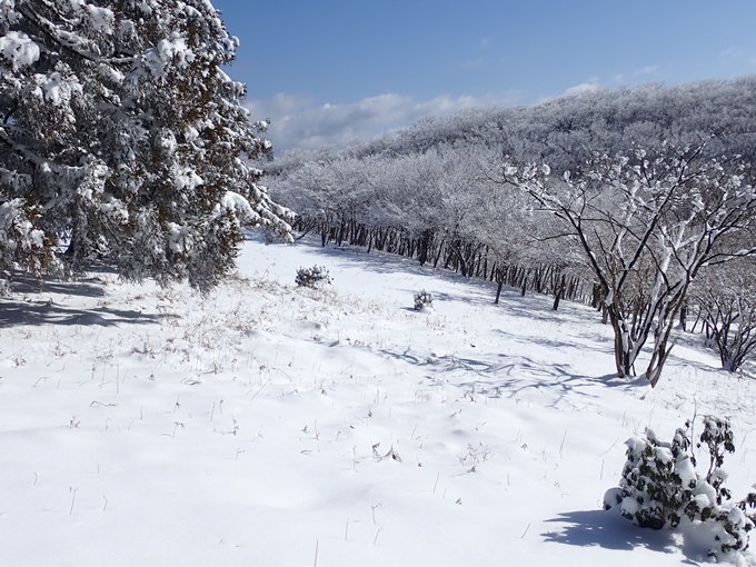 愛宕山_積雪　No116