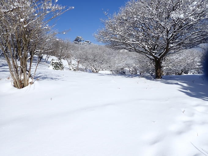 愛宕山_積雪　No117