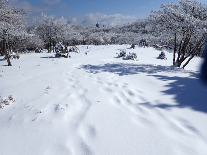 愛宕山_積雪　No119