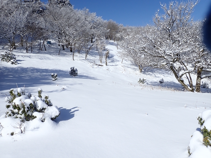 愛宕山_積雪　No121