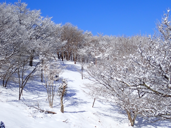 愛宕山_積雪　No122