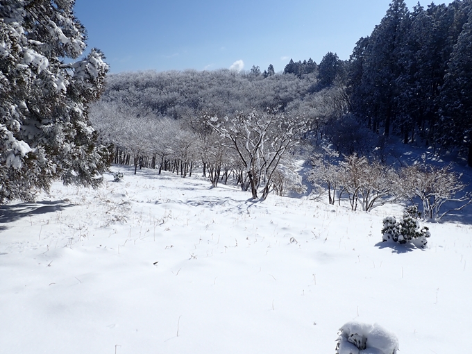 愛宕山_積雪　No124