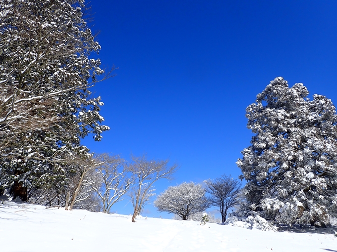 愛宕山_積雪　No125