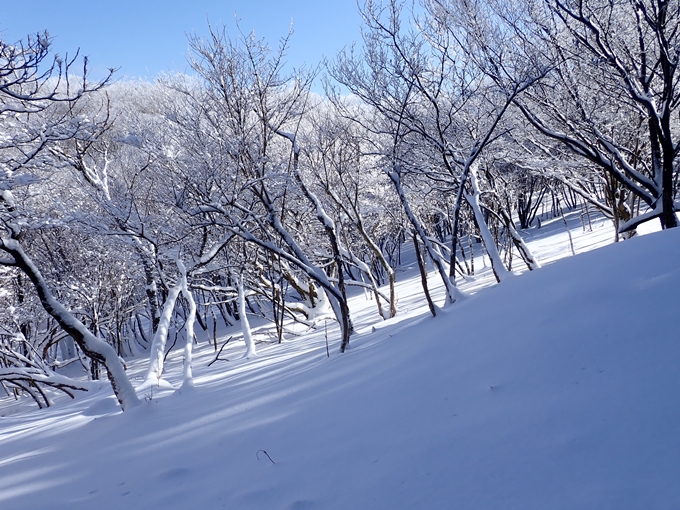 愛宕山_積雪　No127