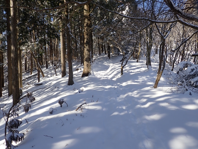 愛宕山_積雪　No130