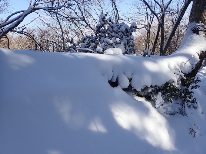 愛宕山_積雪　No131