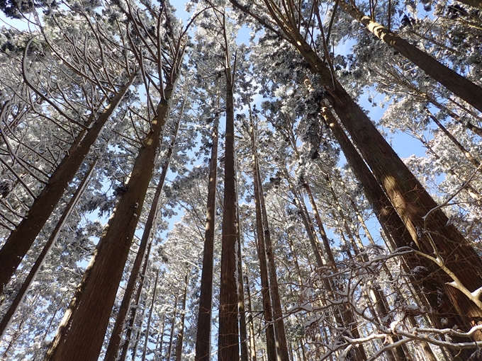 愛宕山_積雪　No140