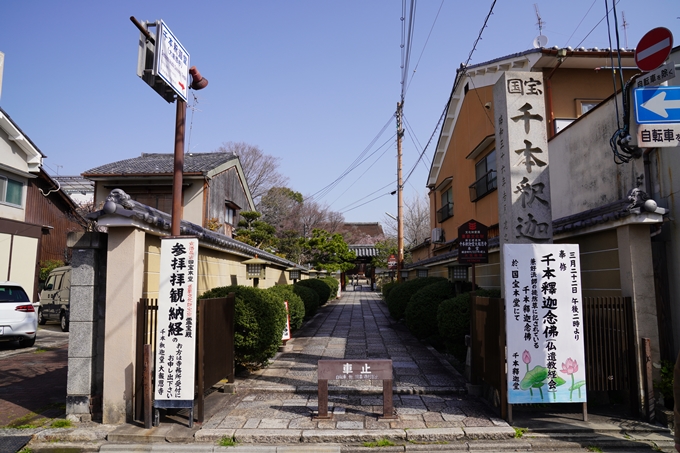 京都_桜_2020_05　No2