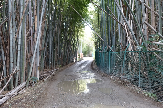 大岩神社　No4