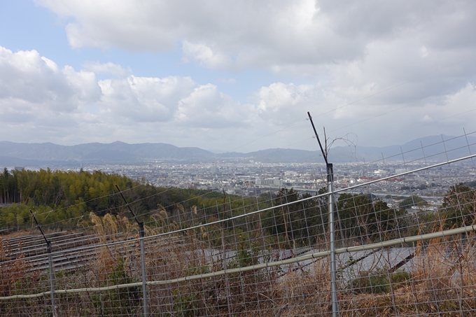 大岩神社　No8