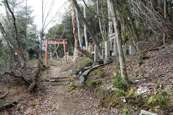 大岩神社　No24