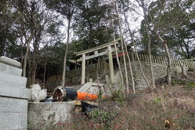 大岩神社　No38