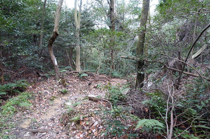 大岩神社　No39