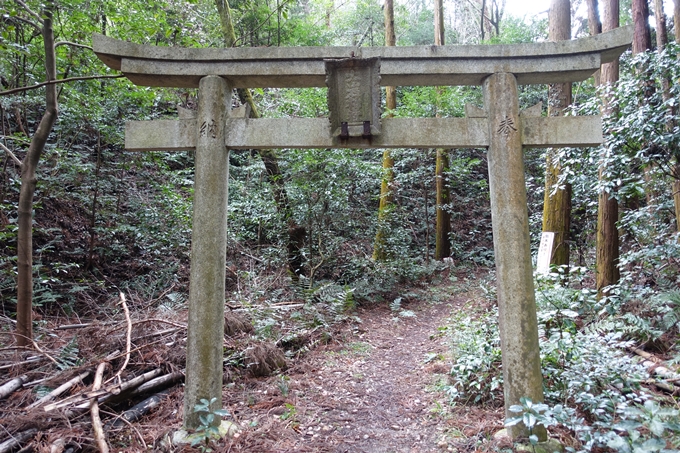 大岩神社　No47