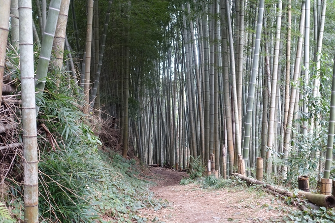 大岩神社　No51