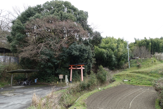 大岩神社　No60