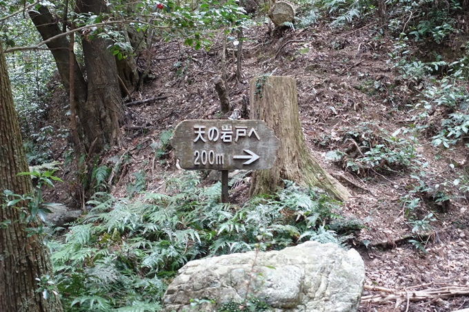 伊勢志摩_天の岩戸神社　No3