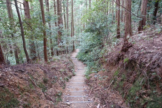 伊勢志摩_天の岩戸神社　No20