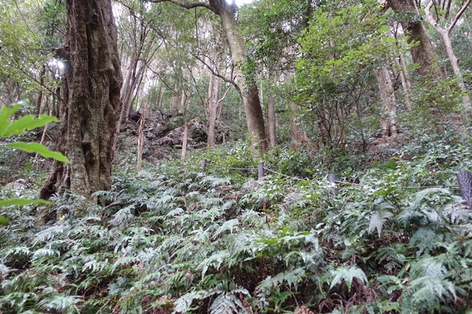 伊勢志摩_天の岩戸神社　No22