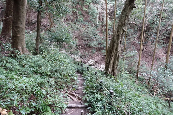 伊勢志摩_天の岩戸神社　No27