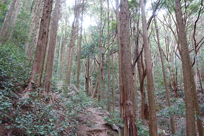 伊勢志摩_天の岩戸神社　No30