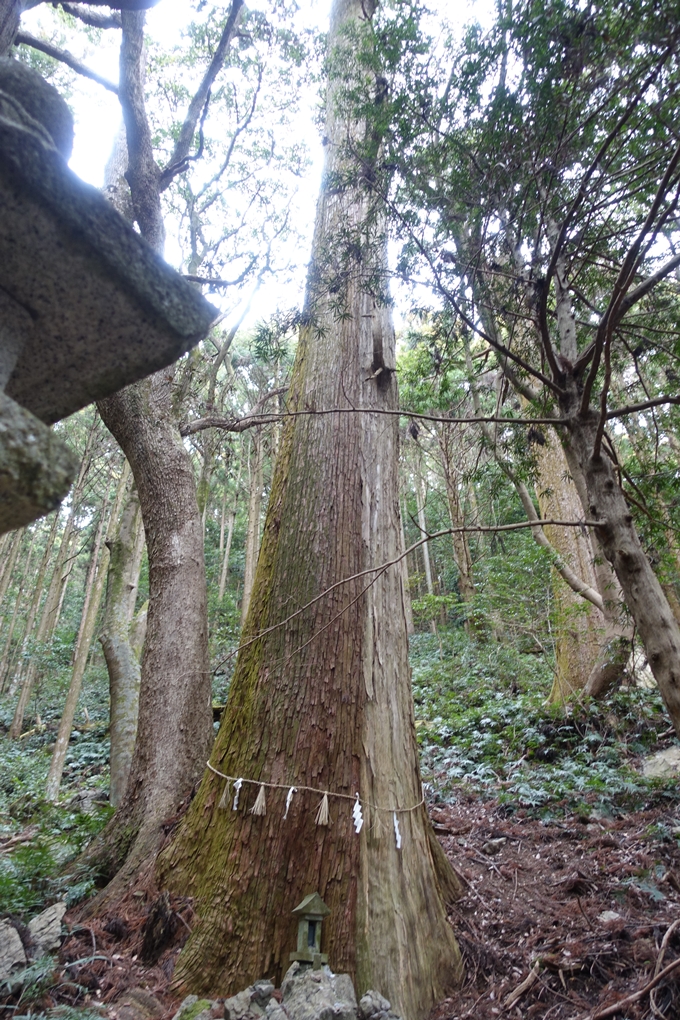 伊勢志摩_天の岩戸神社　No25