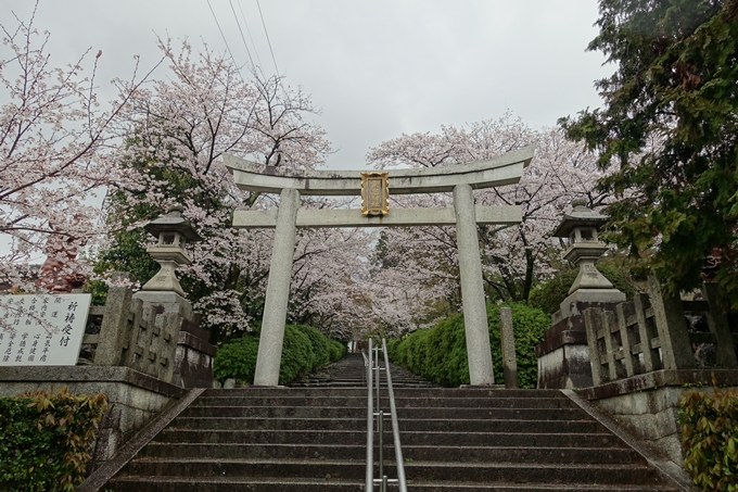 京都_桜_2020_21　宗忠神社　No2