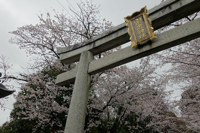 京都_桜_2020_21　宗忠神社　No4