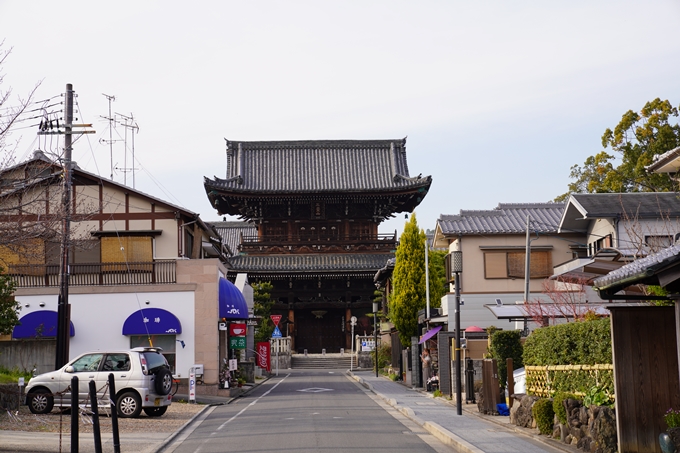 京都_桜_2020_18　嵯峨釈迦堂　No6