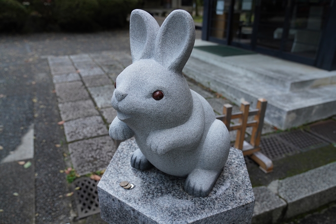 京都_桜_2020_24　岡崎神社　No5