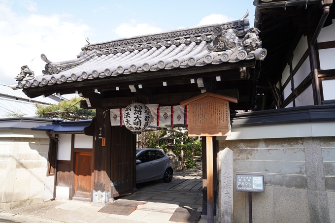 京都_桜_2020_31　雨宝院　No18