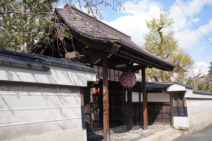 京都_桜_2020_31　雨宝院　No19