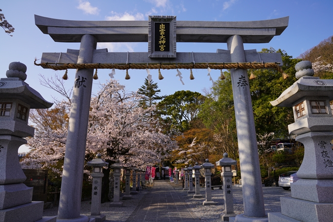 京都_桜_2020_34　出雲大神宮　No2