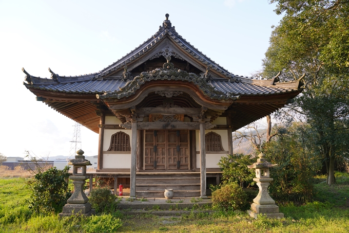 京都_桜_2020_34　出雲大神宮　No7